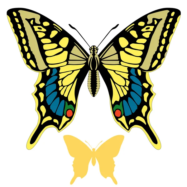 Silhueta de conjunto de vetor borboleta —  Vetores de Stock