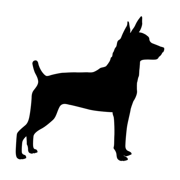 Chien rat terrier Vector silhouette noire — Image vectorielle