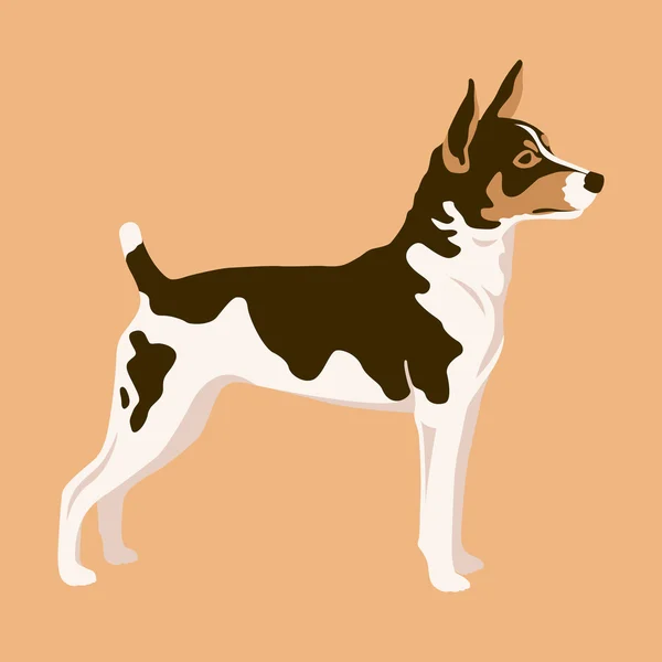 Perro rata terrier Estilo vectorial plano — Vector de stock