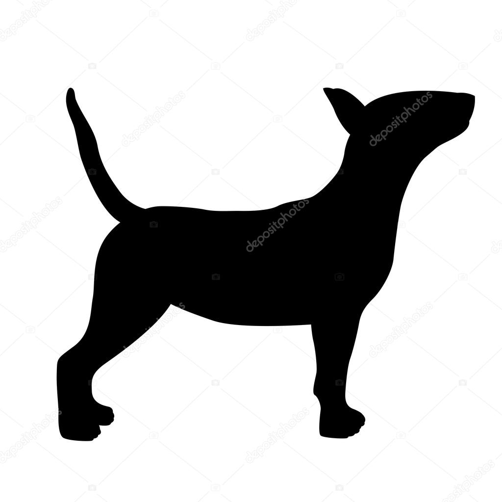 dog bull terrier vector  black silhouette