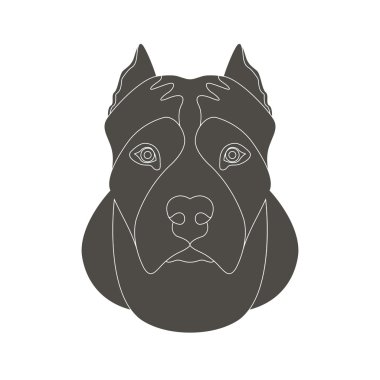 Amerikan staffordshire terrier kafa vektör çizim yüz 