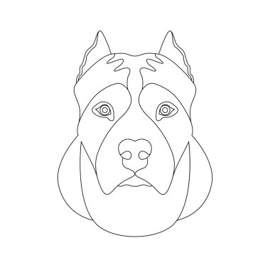 Amerikan staffordshire terrier kafa vektör çizim yüz 
