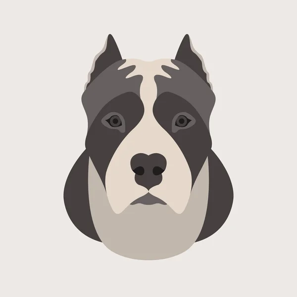 Amerikan staffordshire terrier baş yüzey vektör çizim stili düz