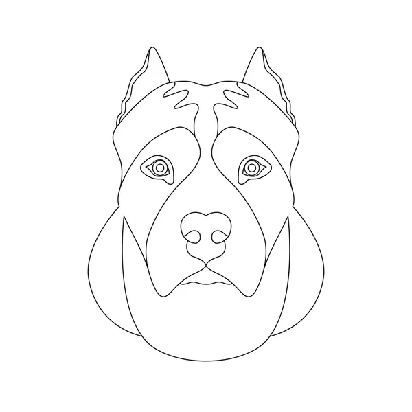 American staffordshire terrier cabeza cara vector ilustración — Vector de stock