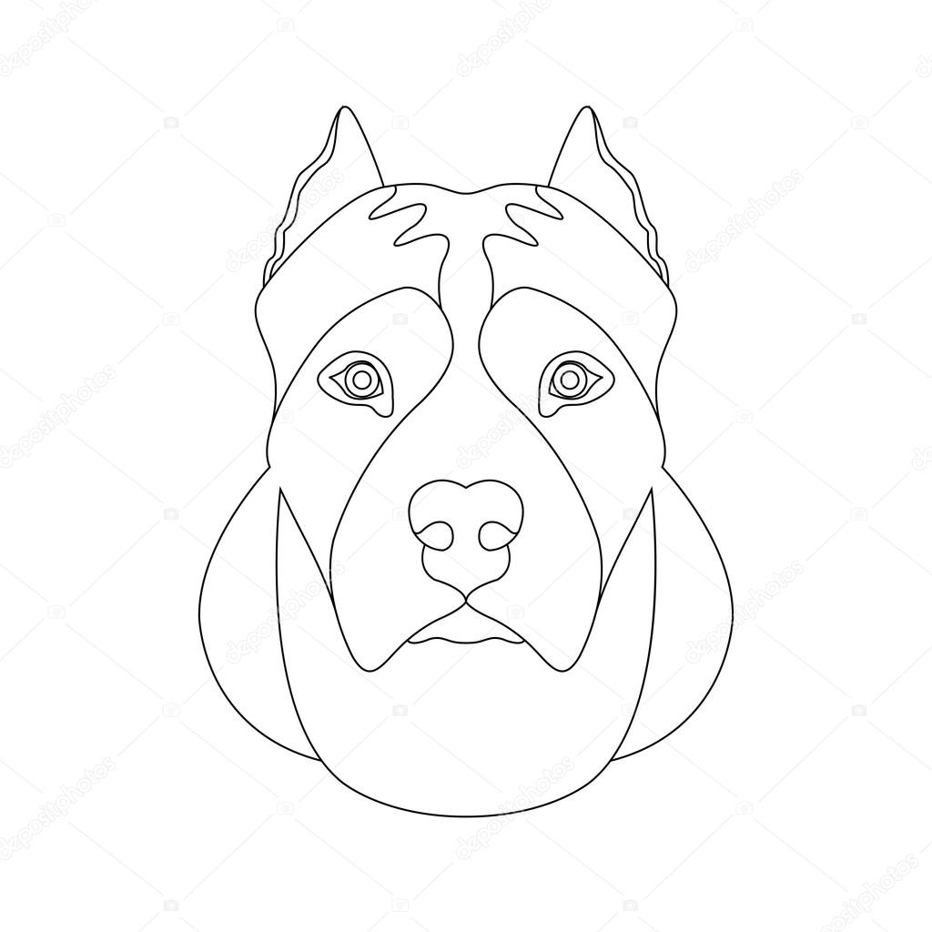 Libro da colorare di American staffordshire terrier viso testa vettoriale illustrazione — Vettoriali di wectors Trova immagini simili