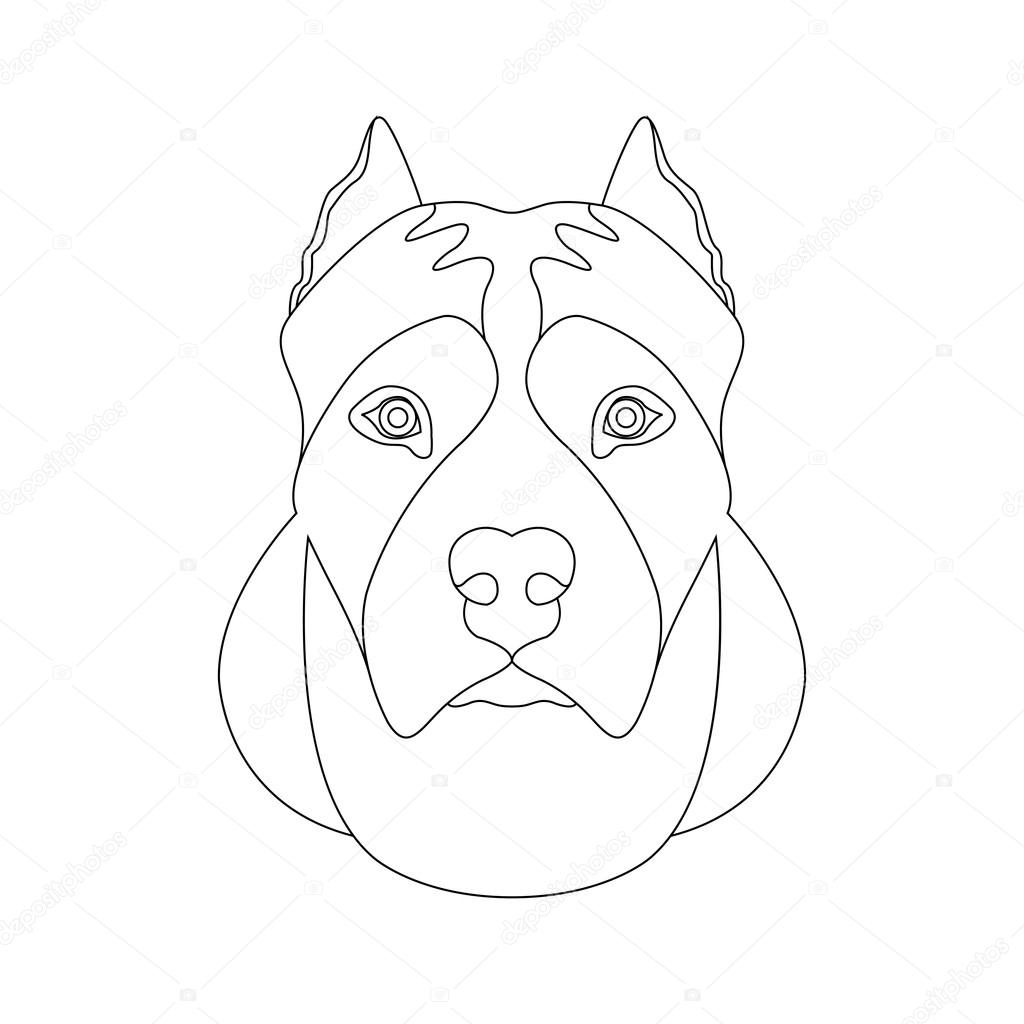 American staffordshire terrier testa viso illustrazione vettoriale — Vettoriale Stock Libro da colorare di