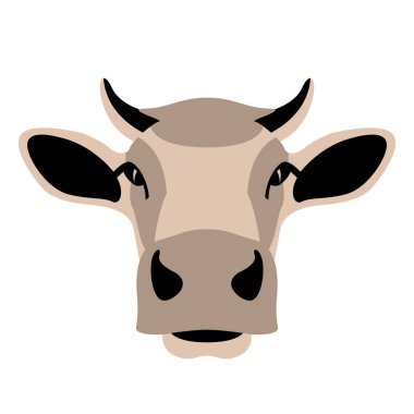 inek yüzü, ön görünüm, vektör çizimi, düz biçim