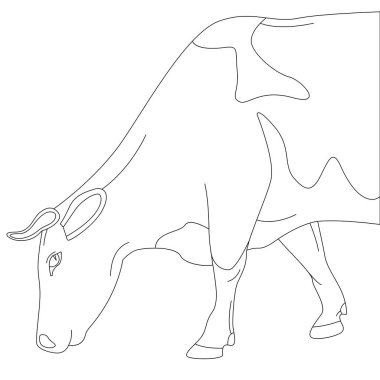 inek kenarı görünümü, vektör çizimi, astarlı çizim