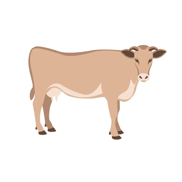 Vista Lateral Vaca Ilustración Vectorial Estilo Plano — Vector de stock