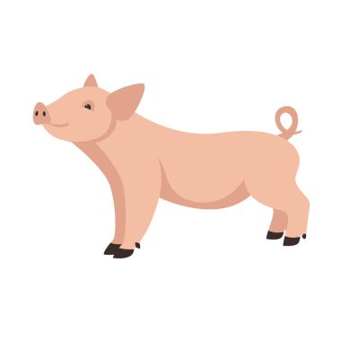 komik domuz, vektör çizimi, düz stil, kenar görünüm