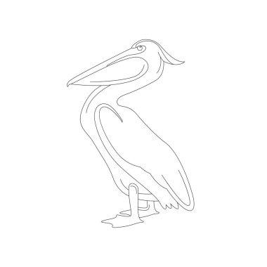 Pelikan vektör çizimi, çizim kenar görünümü