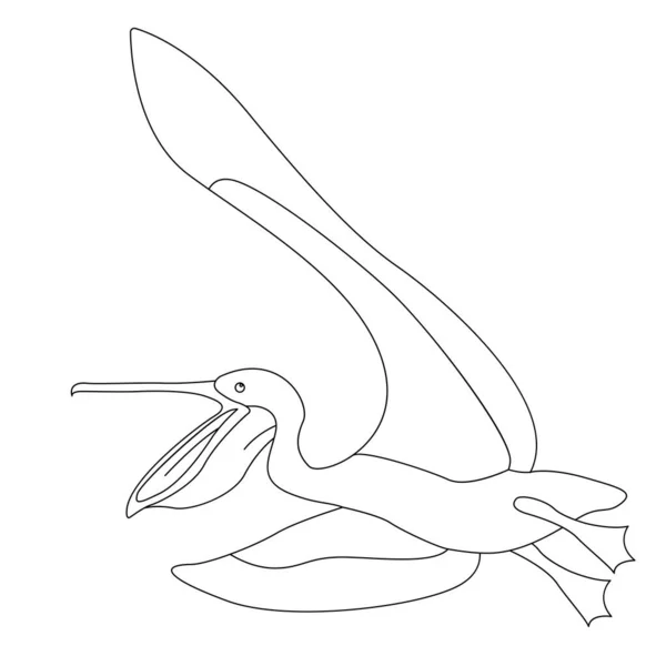 Pelikan Wektor Ilustracja Podszewka Wyciągnąć Widok Boku — Wektor stockowy