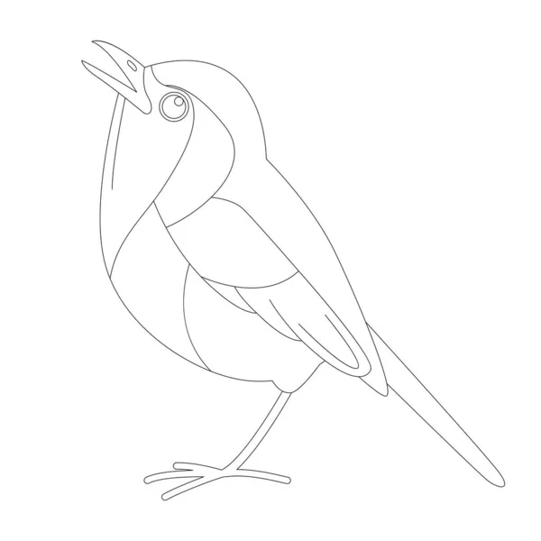 Flycatcher Pássaro Ilustração Vetorial Desenho Forro Vista Lateral — Vetor de Stock