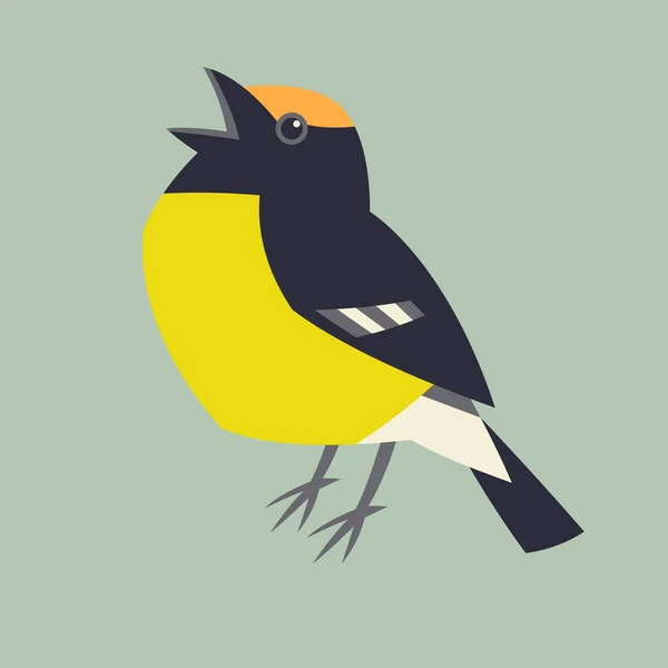 Pájaro Cola Amarilla Ilustración Vectorial Estilo Plano Vista Lateral — Vector de stock