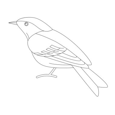 mavi sinekkapan kuş, vektör çizimi, astarlı çizim, kenar görünüm