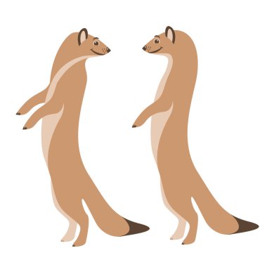 mirket suricata, vektör illüstrasyonu, düz biçim, set