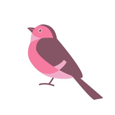 kırmızı sinekkapan kuş, vektör çizimi, düz stil, kenar görünüm