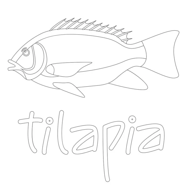 물고기 틸라피아 옆모습 — 스톡 벡터