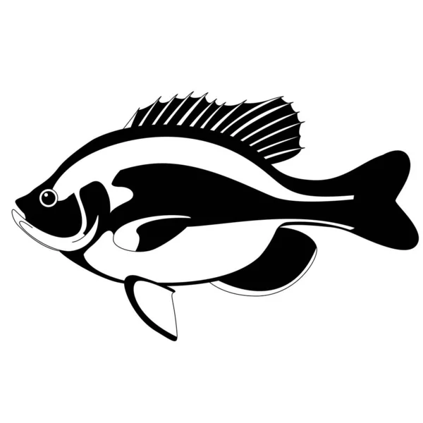 Bluegill Fish Vector Illustration Black Silhouette Side View — Stock Vector