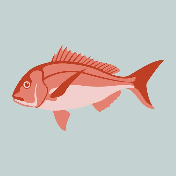 Snapper Fish Векторная Иллюстрация Плоский Стиль Вид Сбоку — стоковый вектор