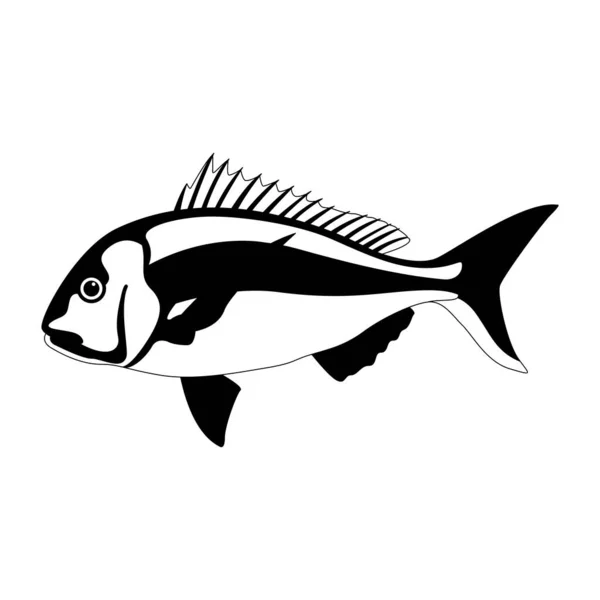 Snapper Vis Vector Illustratie Voering Tekening Zijaanzicht — Stockvector