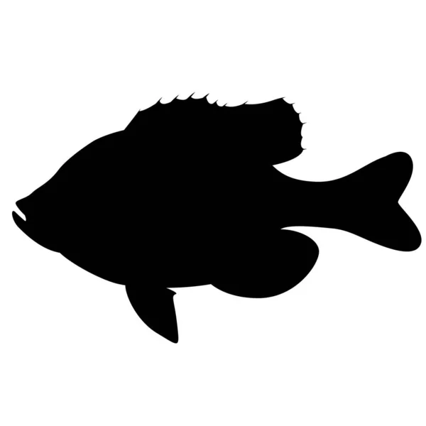 Голубая Рыба Векторная Иллюстрация Черный Силуэт Вид Сбоку Векторная Графика