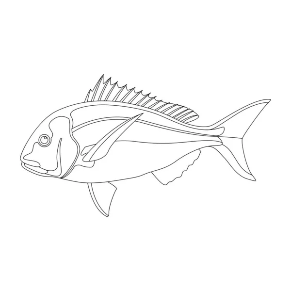 Poisson Vivaneau Illustration Vectorielle Doublure Dessin Vue Latérale Vecteur En Vente