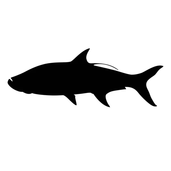 Tarpon Fish Illustrazione Vettoriale Silhouette Nera Vista Laterale — Vettoriale Stock