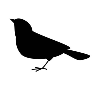 Sinekkapan yeşil kuş, vektör çizimi, düz stil, kenar görünüm