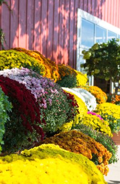 Metal barrier with path closed sign blocking a walking trail in a green park during maintenance and restoration works.