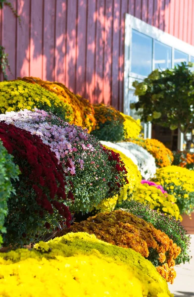 Metal barrier with path closed sign blocking a walking trail in a green park during maintenance and restoration works.