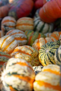 Metal barrier with path closed sign blocking a walking trail in a green park during maintenance and restoration works.