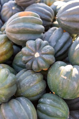 A close-up image of fresh green acorn squash piled together at a farmers market under bright natural sunlight. Perfect for organic food, autumn harvest, and healthy eating concepts.