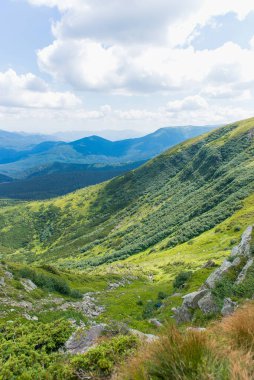 Yeşil yamaçları, kayalık arazileri ve aydınlık bir yaz gününde yumuşak bulutları olan güzel Karpatya dağ manzarası. Yürüyüş parkurundan huzurlu doğa manzarası.