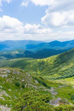 Yeşil yamaçları, kayalık arazileri ve aydınlık bir yaz gününde yumuşak bulutları olan güzel Karpatya dağ manzarası. Yürüyüş parkurundan huzurlu doğa manzarası.