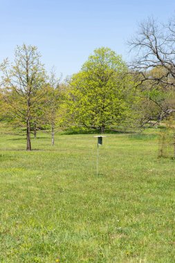 Bahar parkında ağaçları olan yeşil çayırlarda direkte kuş evi, taze çimenli doğal manzara ve açık mavi gökyüzü.