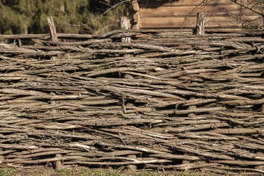 Geleneksel gerdan engeli, Ukrayna köyünde söğüt engelli çit