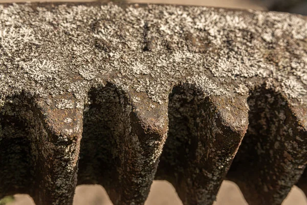 Gros Plan Une Ancienne Roue Dentée Rouillée Couverte Mousse Mécanisme — Photo