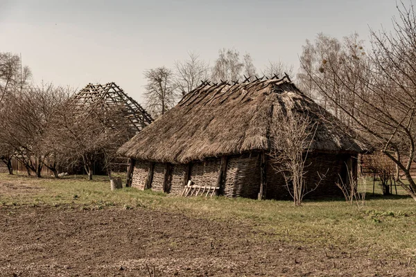 Una Antigua Granja Rural Con Techos Paja Construida Con Troncos —  Fotos de Stock