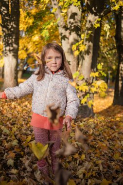 Güneşli bir sonbahar gününde sonbahar arkaplanına karşı güzel beyaz bir kız poz veriyor. Sarı akçaağaç yapraklarından bir taç takıyor, elinde düşen yapraklardan bir buket tutuyor..