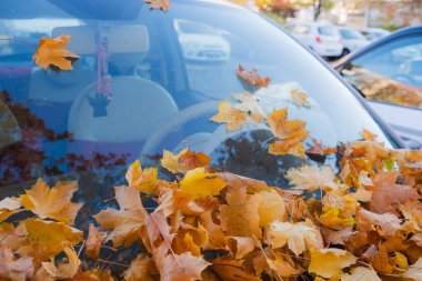 Arabanın kaputunda ve ön camında düşen yaprakların yakın çekimi. Sonbahardayız ve yapraklar dışarıdaki arabayı kaplıyor..