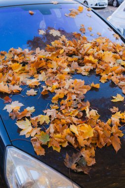 Arabanın kaputunda ve ön camında düşen yaprakların yakın çekimi. Sonbahardayız ve yapraklar dışarıdaki arabayı kaplıyor..