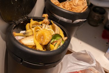 Evdeki organik atıkları geri dönüşüm için mutfak gübre kutusuna koyuyoruz. Meyve ve sebze artıkları da dahil. Evdeki çevre bilinci, sürdürülebilirliği ve sorumlu çöp yönetimini vurguluyor.