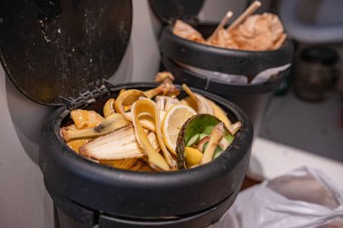 Evdeki organik atıkları geri dönüşüm için mutfak gübre kutusuna koyuyoruz. Meyve ve sebze artıkları da dahil. Evdeki çevre bilinci, sürdürülebilirliği ve sorumlu çöp yönetimini vurguluyor.