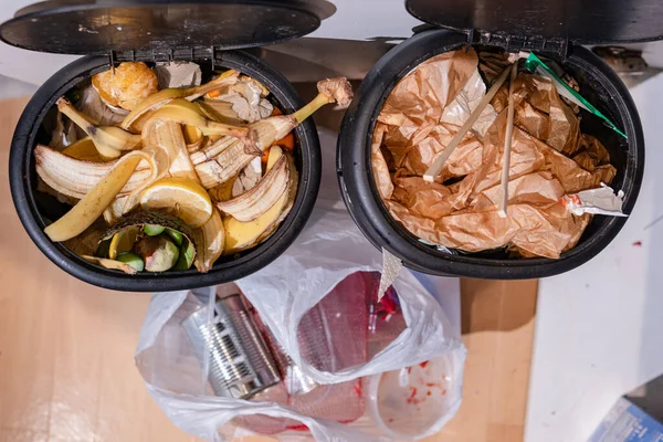 Özgün olarak sıralanmış ev atığı fotoğrafı: organik artıklarla dolu bir gübre kutusu ve geri dönüşümlü plastik torba (teneke, plastik). Evdeki sürdürülebilirlik, atık yönetimi ve yeşil yaşam alışkanlıklarını vurgular.