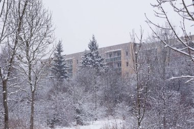 Karla kaplı ağaçların arasından çok katlı bir bina görünüyor. Kış parkıyla çevrili bir Alman kasabasındaki yerleşim yerinin panoramik görüntüsü..