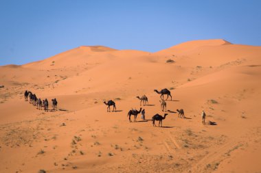 hayatı senin ellerinde