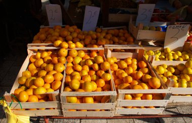 Geleneksel bir yerel çiftçi pazarında tahta sandıklarda taze narenciye meyveleri sergileniyor. Parlak portakallar ve mandalinalar, el yazısıyla yazılmış avro fiyat tabelalarıyla satışa çıkarılarak canlı bir pazar manzarası yaratılıyor. Görüntü doğal ürünü vurguluyor.