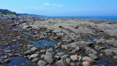 St. Lawrence Nehri 'nin kayalık kıyısı, Kanada' nın Quebec kentindeki Sainte-Flicit kasabasındaki sahil yakınlarında Appalachian 'lardan gelen tortulu kayalardan oluşmuştur..