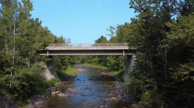 Bulutsuz mavi bir gökyüzünün altındaki yeşil ormanın içinden, bir yol köprüsünün korkuluklarına doğru uçuyor. Tartigou Nehri, Baie-des-Sables, Quebec, Kanada.